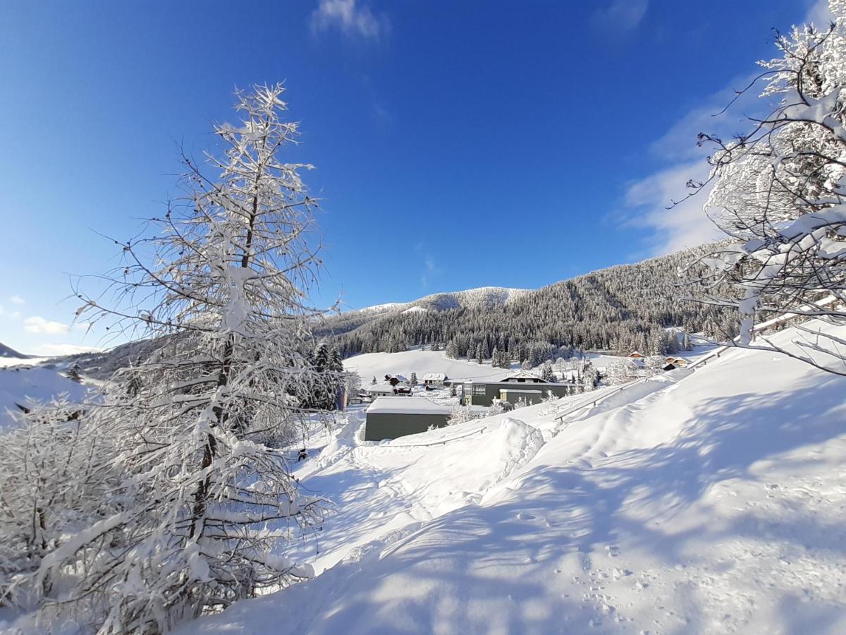 Chalet Verdino 巴德小基希海姆 外观 照片