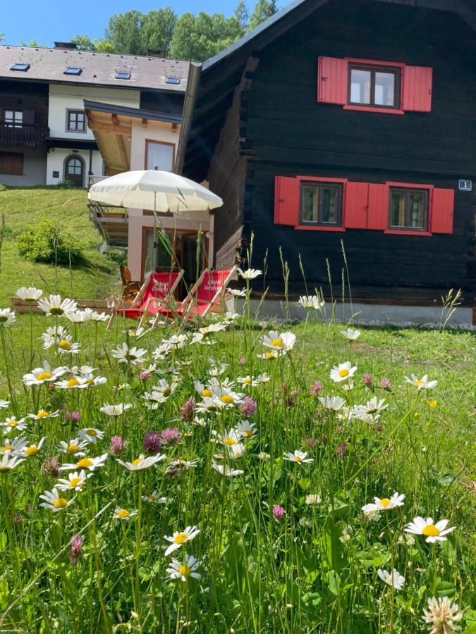 Chalet Verdino 巴德小基希海姆 外观 照片